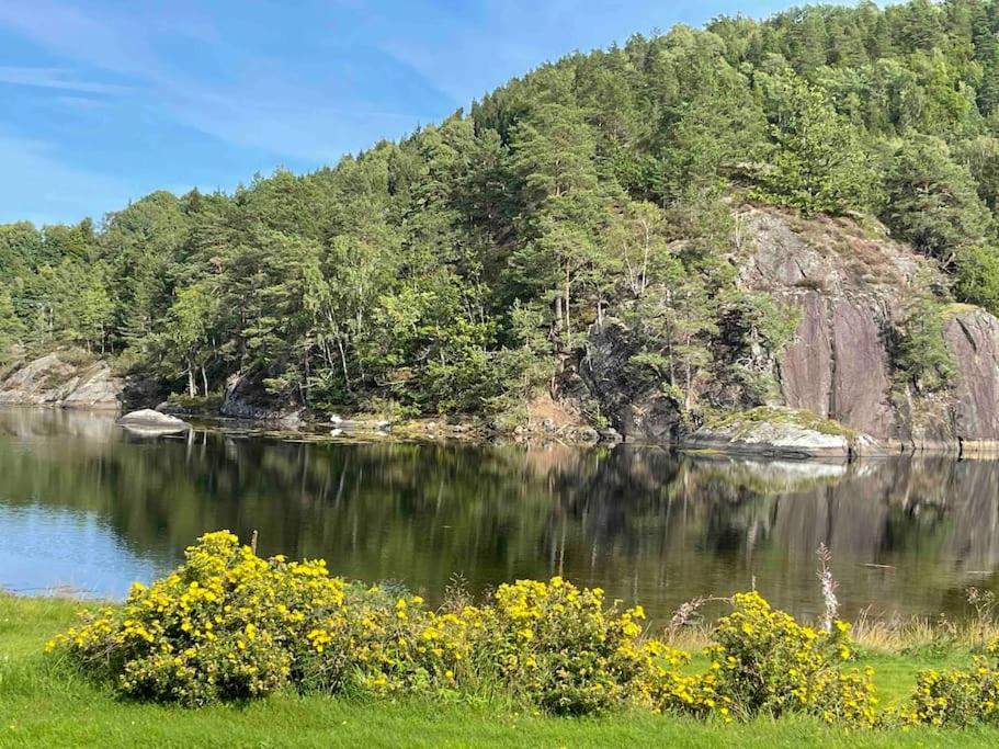 Bosvik Gard, Nyrenovert Leilighet I Hovedhus Fra 1756 Risør Εξωτερικό φωτογραφία